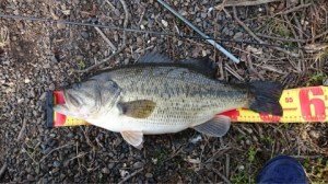 o0480027013617696598