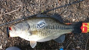 o0480027013617696608