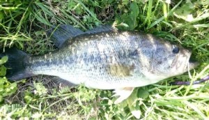 o0480027613623157270