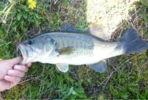 o0480032513623157260