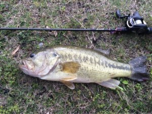 o0480036013623347725