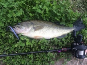 o0480036013627127882