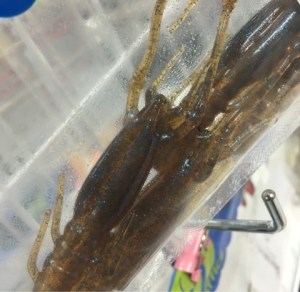 o0480046813619360242