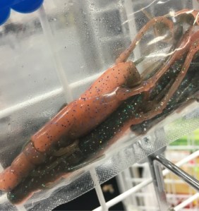 o0480051013619360247