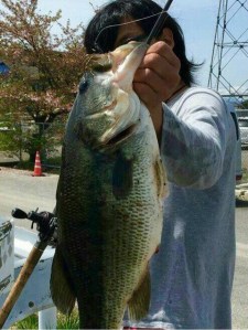 o0480063913622435370