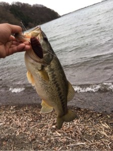 o0480064113611366612