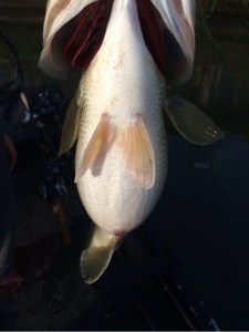 o0480064113612734544