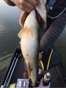 o0480064113612734551