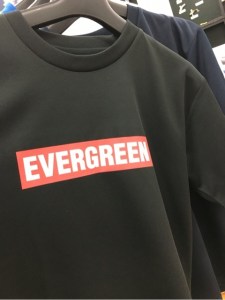 o0480064113619528846