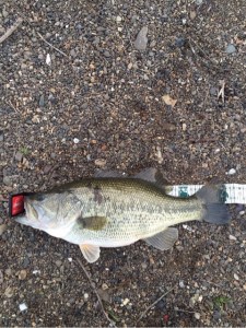 o0480064113623454677