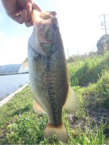 o0480064113627127915