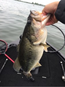 o0480064113630280142