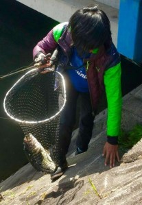 o0480069413622435395