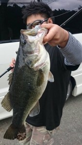 o0480085213611366537