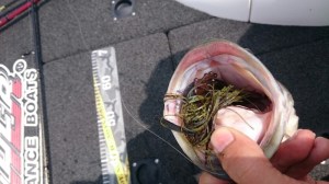 o0800045013612888330