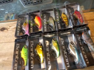 o0800060013611962319