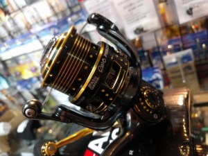 o0800060013615568055