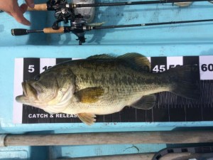 o0800060013620766906