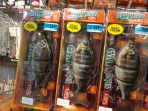 o0800060013627689967