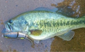 o0480029313648488461