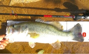 o0480029613648488472