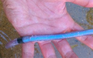 o0480030313648488451