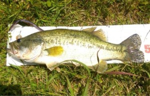 o0480030913648488480