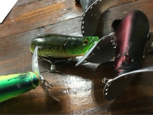 o0480036013656677601