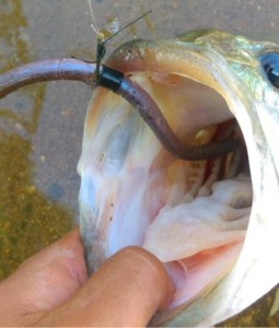 o0480056513648488446