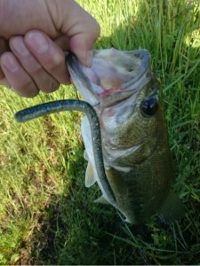 o0480064113636524122