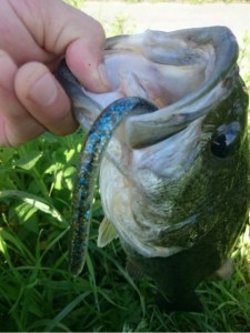 o0480064113636524141