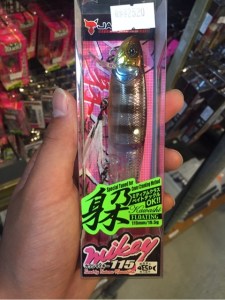 o0480064113647323101