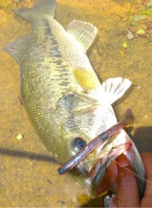 o0480065813648488477