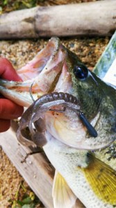 o0480086313648488465