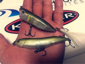 o0480036013679551323