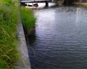 o0480038413661902147