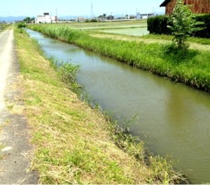 o0480042413661902125