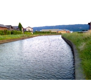 o0480042413661902130