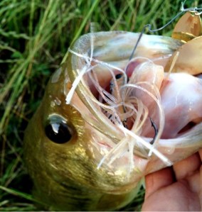 o0480050713661902135