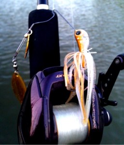 o0480056013661902154