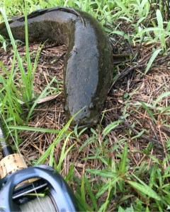 o0480060113659685867