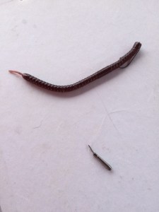 o0480064013664639906