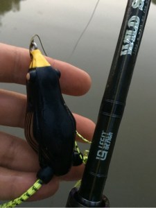 o0480064113659685857