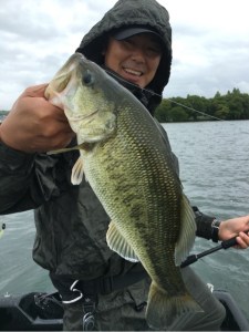 o0480064113664563217