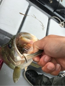 o0480064113664563226