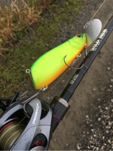 o0480064113667468257