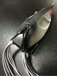 o0480064113668408231