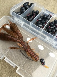 o0480064113671841744