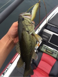 o0480064113679539305