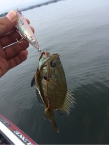 o0480064113679539504